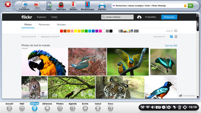 Une nouvelle page s'affiche avec les photos d'oiseaux exotiques.