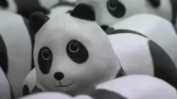L'aéroport de Hong Kong a été envahi par 1 600 pandas en papier recyclé lundi dernier. Ils sont l'oeuvre du Français Paulo Grangeon, qui veut défendre la cause de ces animaux.