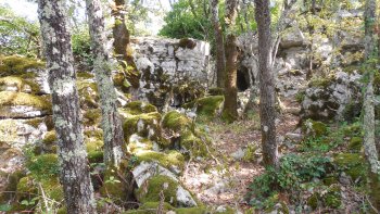 Mystérieuse forêt de chênes verts, blancs et rochers calcaire, près du Chassezac .